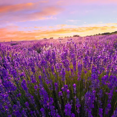 Apartment In 54949 Balatonszabadi